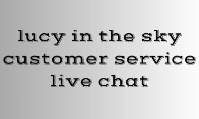 lucy in the sky customer service live chat