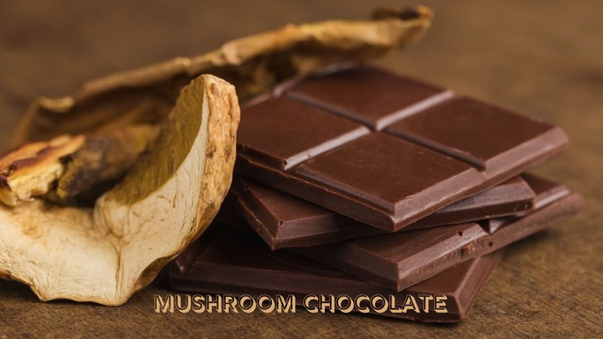 Mushroom Chocolate