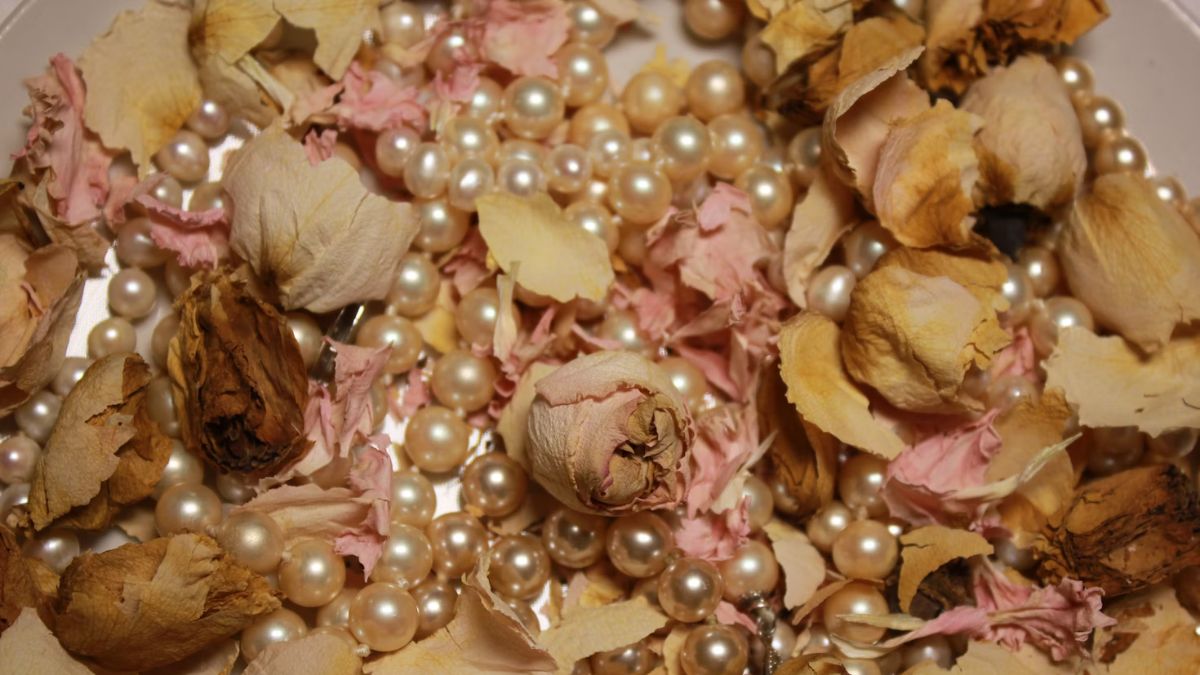 copper pearl